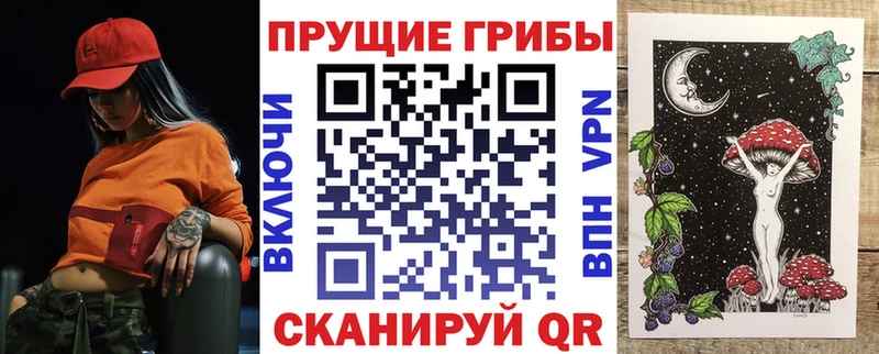 как найти наркотики  kraken как зайти  Псилоцибиновые грибы прущие грибы  Собинка 