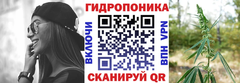 Канабис сатива  Собинка 